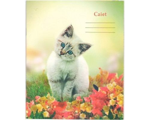 Тетрадь 24 листов картонная обложка узкая линия P*3477 (25)