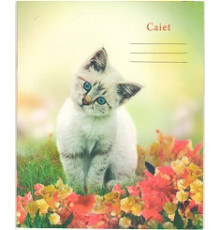 Caiet 24 file coperta carton linie ingusta P*3477 (25)