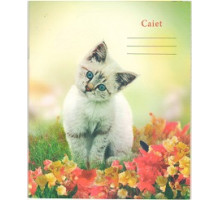 Caiet 24 file coperta carton linie ingusta P*3477 (100)