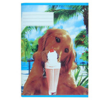 Тетрадь евро 24 листов, пунктирная линия, галерия, P*0544 (80)