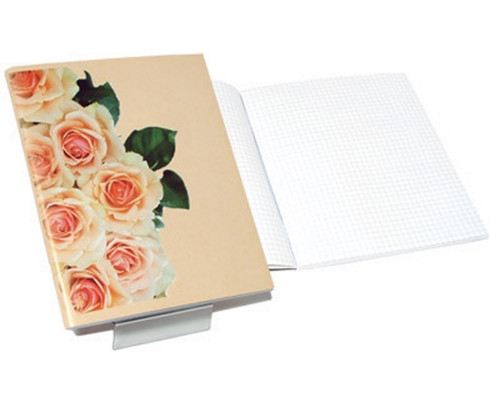 Caiet 96 file A5 ST01 linie P*0926 (20)