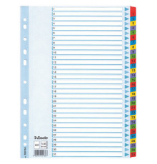 65318 Разделители картонные цветные А4 1-31 Esselte Mylar 100164