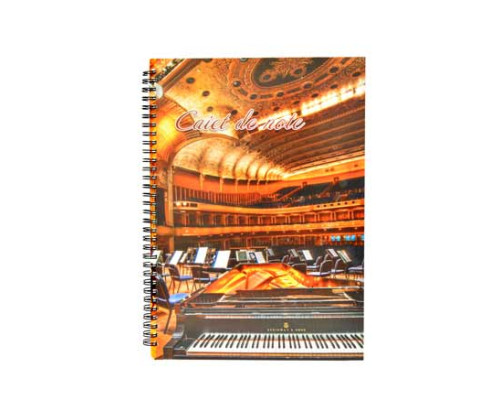 Caiet note spira A4 80 file P*1039 (10)