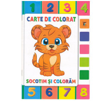 Carte de colorat "Socotim si coloram" A4, 16pag., P*3736