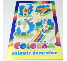 Privim si coloram. Animale domestice N*2772 (16.5X24)