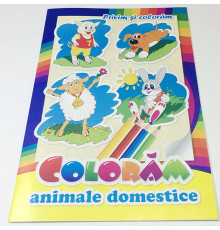 Privim si coloram. Animale domestice N*2772 (16.5X24)