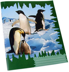 Тетрадь 24 листов, косая линия, галерия P*0162 (100)