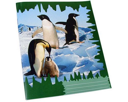 Сaiet scolaresc 24 foi, linie oblica, galeria P*0162 (100)