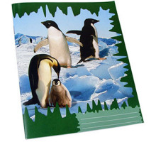 Сaiet scolaresc 24 foi, linie oblica, galeria P*0162 (100)