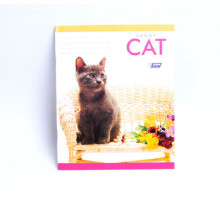 Тетрадь 24 листов клетка, lux M*1414 (10/200)