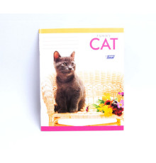 Caiet 24 file matem, lux M*1414 (10/200)