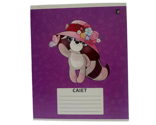 Тетрадь с твердой обложкой 12 листов косая линия, P*1411 (100)