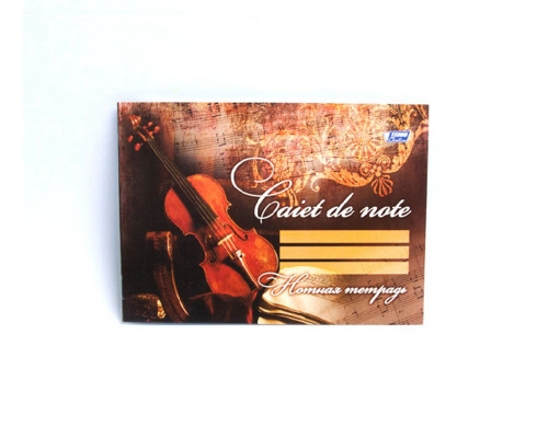 Caiet note A5 16 file M*3296 (200)