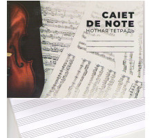 Caiet note A5 16 file M*3296 (200)