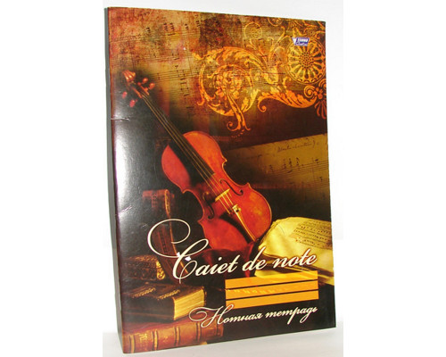 Caiet note A4 16 file M*3289 (100)