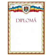 70736 Diploma fara linii N-002 (100)