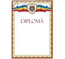 Diploma fara linii cu chenar rosu N-002 (100)