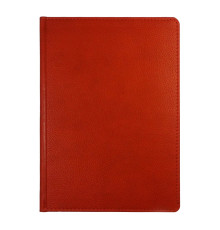 Ежедневник A5 датированный 2023, красный (50)