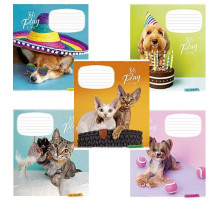 Tетрадь 12л. клетка Школярик, "Lets play" 012-3131K (30/300/600)