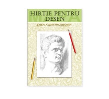 Папка для рисования А4 20л R*1379 (20)