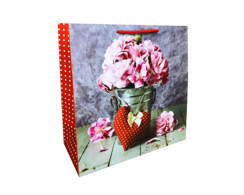 Pachet pentru cadou, laminat 23х23x10cm, 150g/m2 W1 (10)