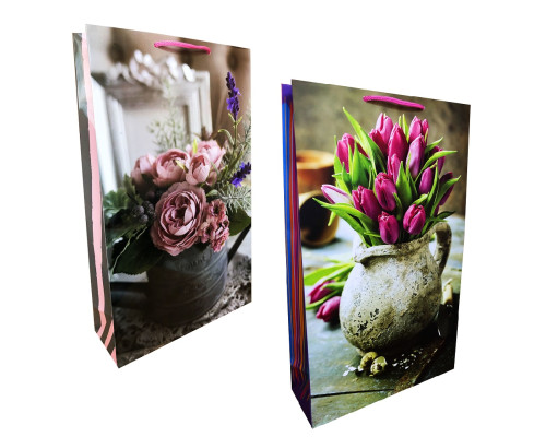 Pachet pentru cadou, laminat 24,5x41х9cm, 170g/m2 W3 (10)