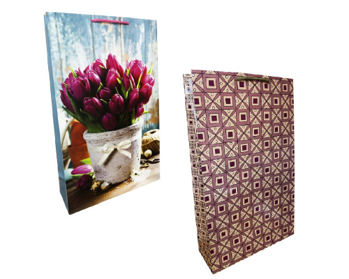 Pachet pentru cadou, laminat 24,5x41х9cm, 170g/m2 W3 (10)