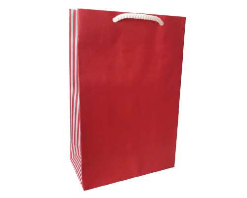 Пакет подарочный, крафт цветной, 15x23x8см, 120г/м2 TMK (10) Пакет подарочный, крафт цветной, 15x23x8см, 120г/м2 TMK (10)