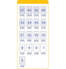 Etichete autoadezive A4 99.1x38.1mm 1400buc FO41523(20)