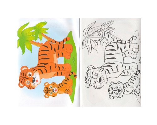 Privim si coloram ANIMALE AMUZANTE. N*3998