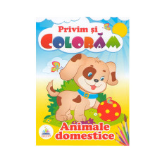 Privim si coloram ANIMALE DOMESTICE. N*4018