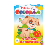Privim si coloram ANIMALE DOMESTICE. N*4018