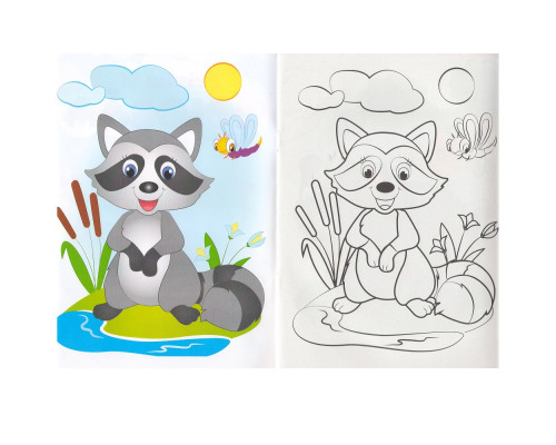 Privim si coloram ANIMALE SALBATICE. N*4001