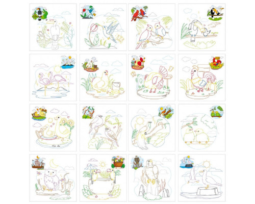 Раскраска 200х200мм, 16л, "BIRDS" 22348 (20)