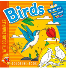 Раскраска 200х200мм, 16л, "BIRDS" 22348 (20)
