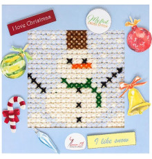 Broderie X15