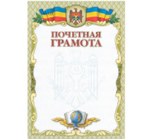 Почётная грамота без линий с оливковой рамкой N-009 (100)