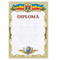 Diploma fara linii cu chenar verde deschis N-007 (100)