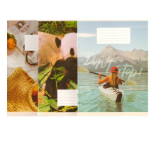 Сaiet euro 24 foi, linie, coperta cartonata, M*8444 (10/200)