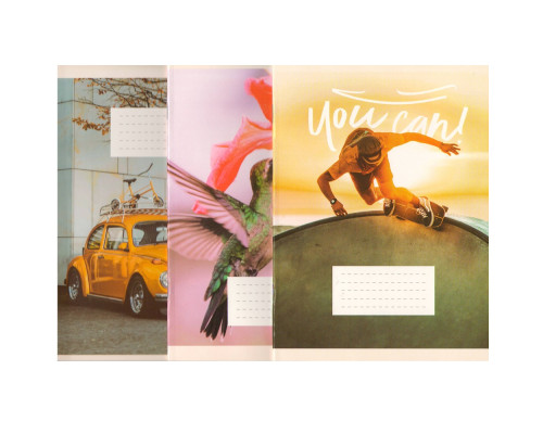 Тетрадь евро 24 листов, клетка, картон. обложка М*8437 (10/200)